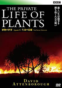 BBC 植物の世界4 生命の葛藤 [DVD](中古品)