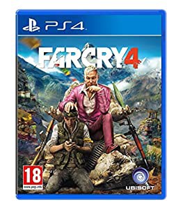 Far Cry 4 PS4 Game(中古品)