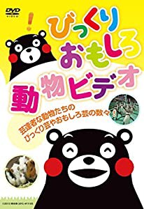 びっくりおもしろ動物ビデオ [DVD](中古品)