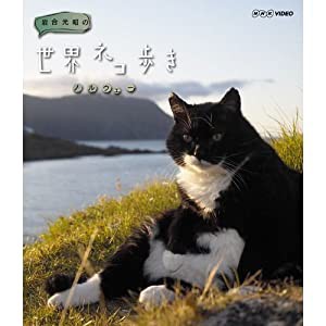 岩合光昭の世界ネコ歩き　ノルウェー　ブルーレイ【NHKスクエア限定商品】(中古品)