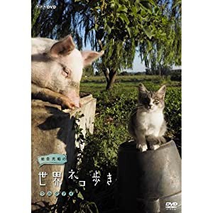 岩合光昭の世界ネコ歩き　ウルグアイ　DVD【NHKスクエア限定商品】(中古品)