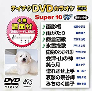 テイチクDVDカラオケ スーパー10W(495)(中古品)