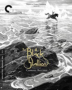 CRITERION COLLECTION: BLACK STALLION(中古品)