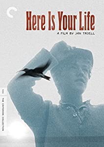 CRITERION COLLECTION: HERE IS YOUR LIFE(中古品)