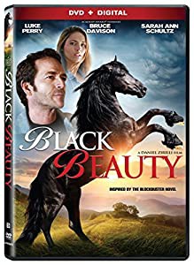 BLACK BEAUTY(中古品)