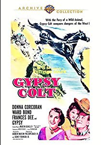Gypsy Colt [DVD](中古品)