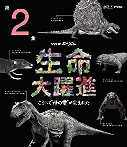 ＮＨＫスペシャル 生命大躍進 第２集 [Blu-ray](中古品)