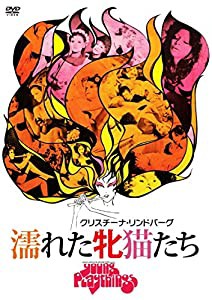 濡れた牝猫たち [DVD](中古品)