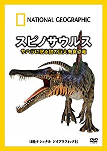 ナショナル ジオグラフィック スピノサウルス サハラに眠る謎の巨大肉食恐竜 [DVD](中古品)