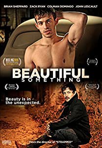 Beautiful Something [DVD] [Import](中古品)