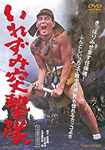 いれずみ突撃隊 [DVD](中古品)