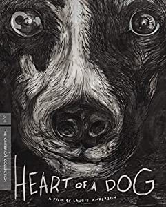 Criterion Collection: Heart of a Dog [Blu-ray] [Import](中古品)