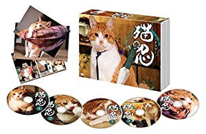 ドラマ「 猫忍 」DVD-BOX(中古品)