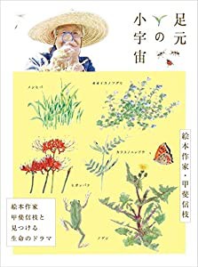 足元の小宇宙 ~絵本作家・甲斐信枝と見つける生命のドラマ~ [DVD](中古品)