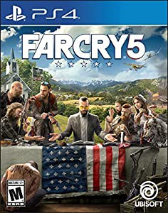 Far Cry 5 (輸入版:北米) -PS4(中古品)