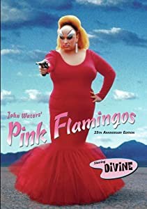 Pink Flamingos:25th Anniversar [DVD-AUDIO](中古品)