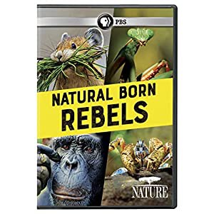 NATURE: Natural Born Rebels DVD(中古品)