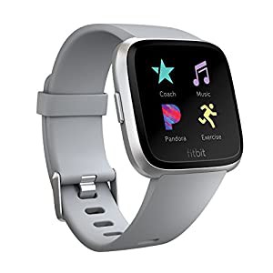 Fitbit Versa スマートウォッチ Gray L/Sサイズ [日本正規品] FB505SRGY-CJK(中古品)