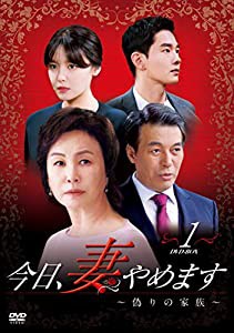 今日、妻やめます~偽りの家族~ DVD-BOX 1(中古品)