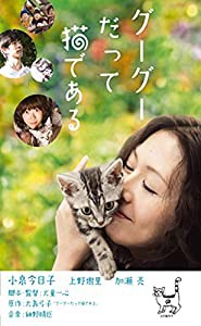 グーグーだって猫である [DVD](中古品)