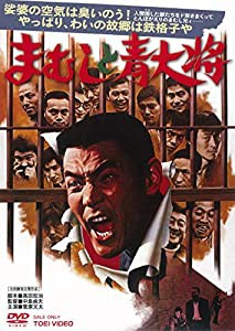 まむしと青大将 [DVD](中古品)