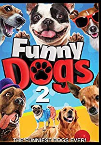 Funny Dogs 2 [DVD](中古品)