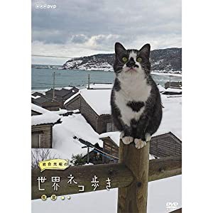 【NHKスクエア限定】岩合光昭の世界ネコ歩き 能登 DVD(中古品)