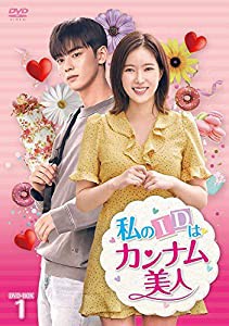 私のIDはカンナム美人 DVD-BOX1(中古品)