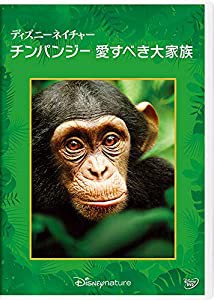 ディズニーネイチャー/チンパンジー 愛すべき大家族 [DVD](中古品)