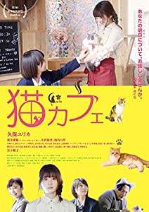 猫カフェ [DVD](中古品)