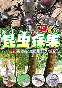 ぼくの昆虫採集 [DVD](中古品)
