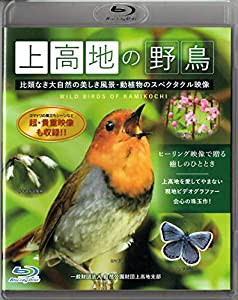 上高地の野鳥 4K 超高画質映像 上高地に生息する野鳥40種、植物48種を収録 [Blu-ray](中古品)