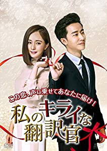 私のキライな翻訳官　DVD-BOX2　＜シンプルBOX 5,000円シリーズ＞(中古品)