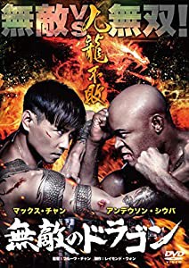 無敵のドラゴン [DVD](中古品)