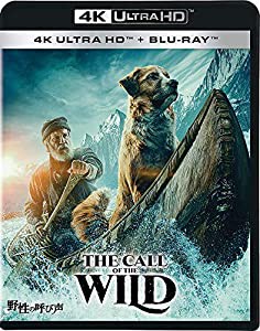 野性の呼び声 4K UHD [4K ULTRA HD+ブルーレイ] [Blu-ray](中古品)