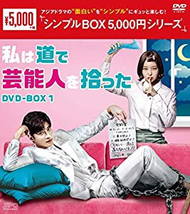 私は道で芸能人を拾った DVD-BOX1 （シンプルBOX 5,000円シリーズ）(中古品)