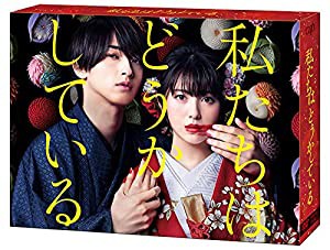 「私たちはどうかしている」DVD-BOX(中古品)