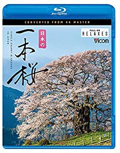 日本の一本桜 4K撮影作品 【Blu-ray Disc】(中古品)