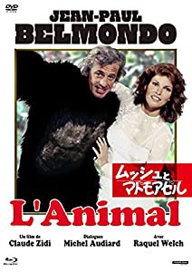 ムッシュとマドモアゼル [DVD](中古品)