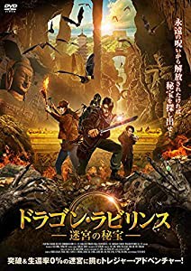 ドラゴン・ラビリンス 迷宮の秘宝 [DVD](中古品)