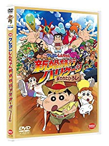 映画クレヨンしんちゃん 新婚旅行ハリケーン ~失われたひろし~ [DVD](中古品)