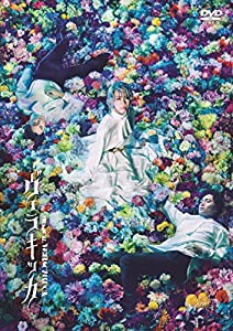 ミュージカル『ヴェラキッカ』DVD 通常版(特典なし)(中古品)