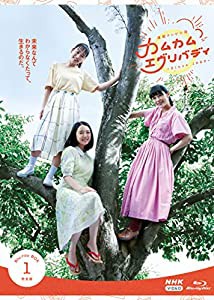 連続テレビ小説 カムカムエヴリバディ 完全版 ブルーレイ BOX1 [Blu-ray](中古品)