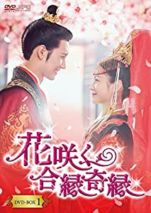 花咲く合縁奇縁 DVD-BOX1(中古品)