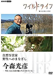 ワイルドライフ 自然写真家 野生へのまなざし 今森光彦 [DVD](中古品)