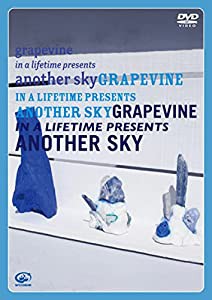 【メーカー特典あり】in a lifetime presents another sky [DVD + CD] （早期予約特典 ： 「in a lifetime presents another sky