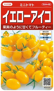 サカタのタネ 実咲野菜0105 イエローアイコ ミニトマト 00920105