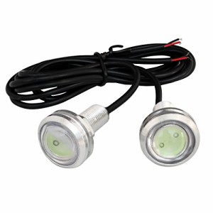 【2個入り】 防水 大玉 LED スポットライト アイスブルー色 12V 23mm (銀色ソケット)