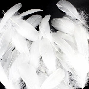 50枚入り 羽根 羽 フェザー ガチョウの羽 装飾用羽根 DIY 工芸品 ホワイト