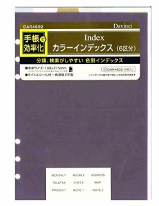 レイメイ藤井 ダヴィンチ 手帳用リフィル カラーインデックス 6区分 A5 アースカラー
